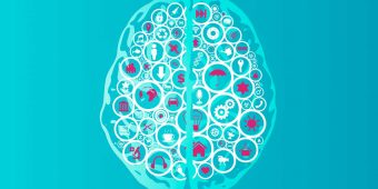 stockvault-brain-functions-as-app-icons183796_web